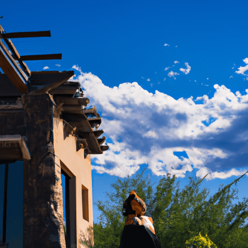 What Solar Panel Salespeople Won’t Tell You